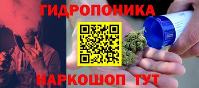 a pvp Абинск