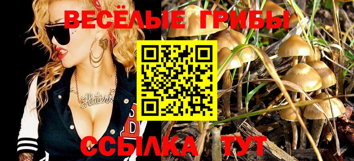 Галлюциногенные грибы MAGIC MUSHROOMS  Галлюциногенные грибы Psilocybine cubensis  Вход с VPN  Апатиты 